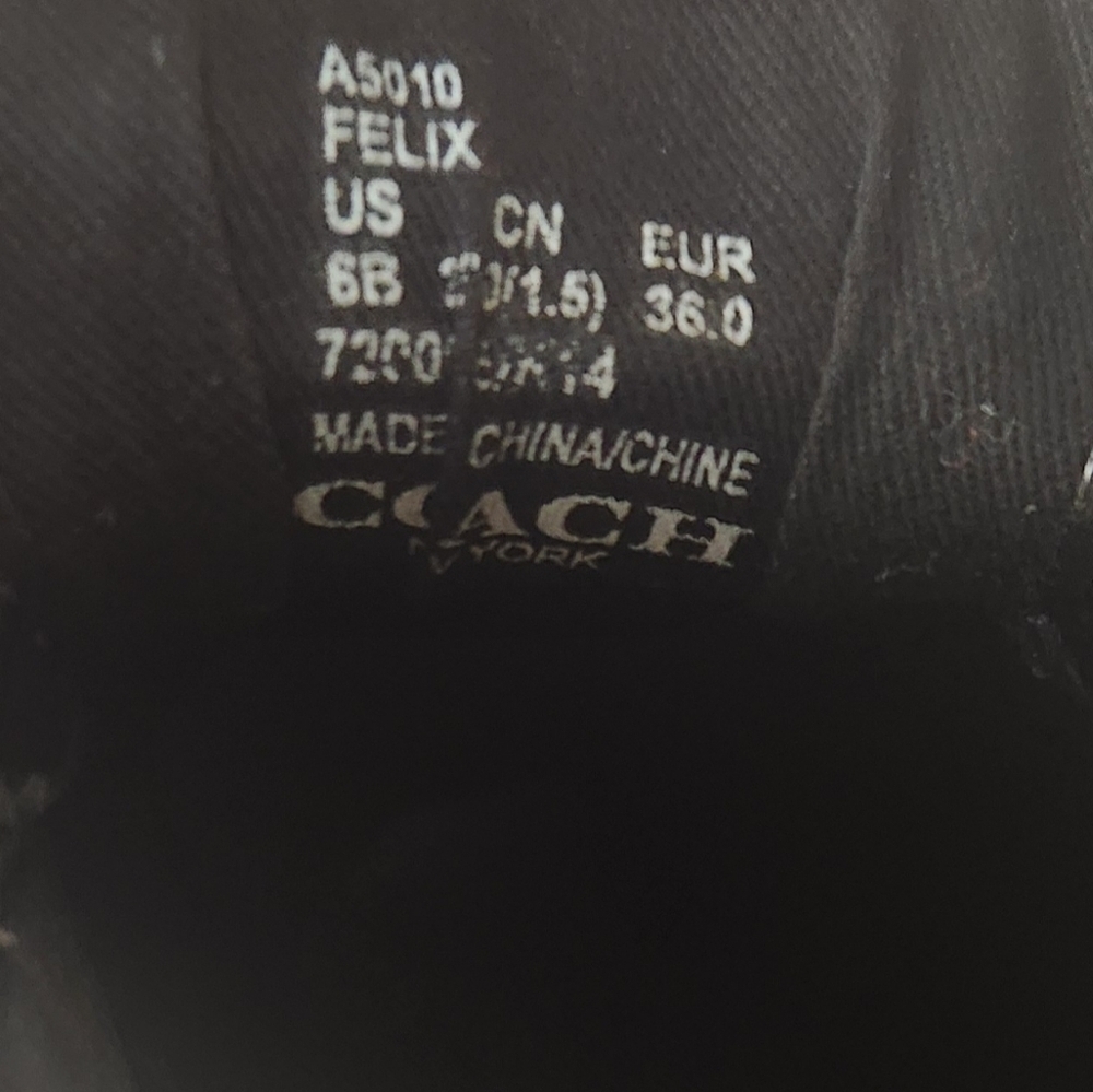 Coach Sneakers with logo size : 6b - Picture 5 of 9